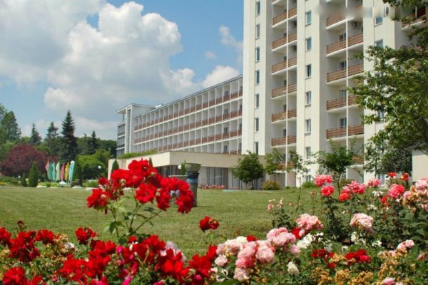 Как восстановить аккаунт в кракен