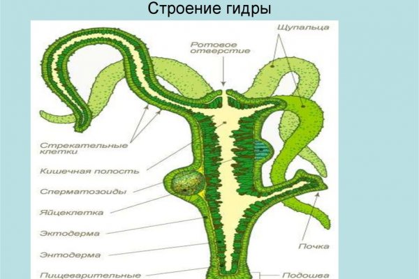 Kraken ссылка onion 2kmp