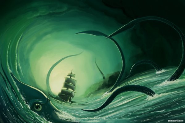 Kraken 20at net